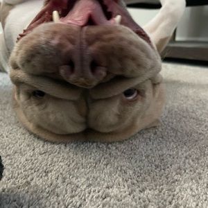 Meet your Posher, Ihop